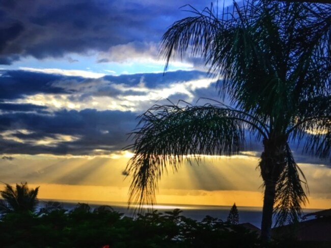 Building Photo - 595 Kumulani Dr