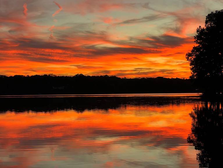 Building Photo - 3114 Fox Chase Dr