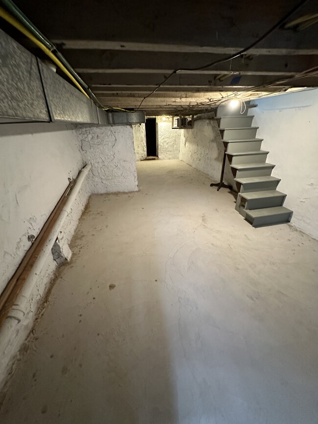 BASEMENT - 3172 Chatham St