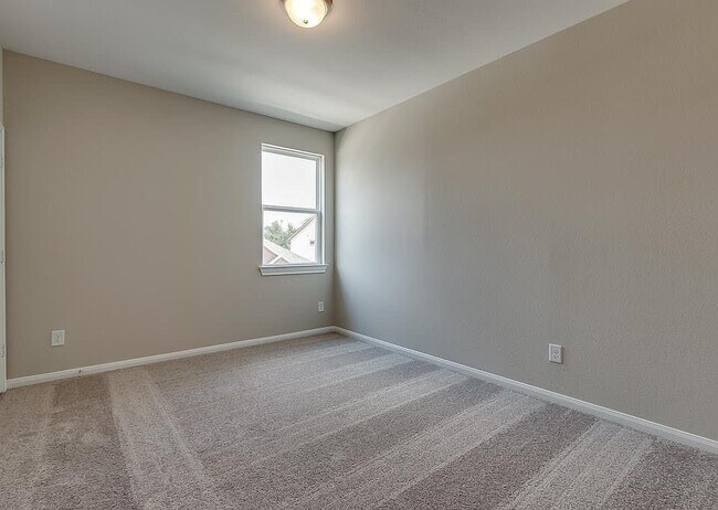 Building Photo - 8119 Braddock Hills Ln
