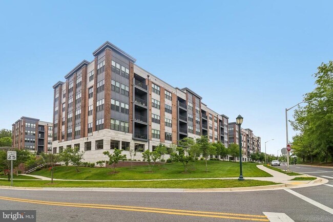 Building Photo - 3503 Bellflower Ln