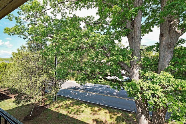 Building Photo - Beautifully Updated & Move-in Ready Hessian Hills Condo