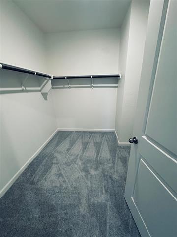 Building Photo - 12733 Big Rnch Rd