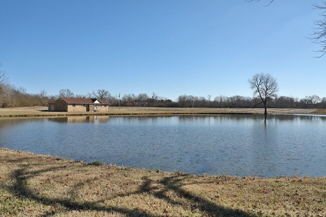 Building Photo - Brick Home in Dresden with Stunning Backya...