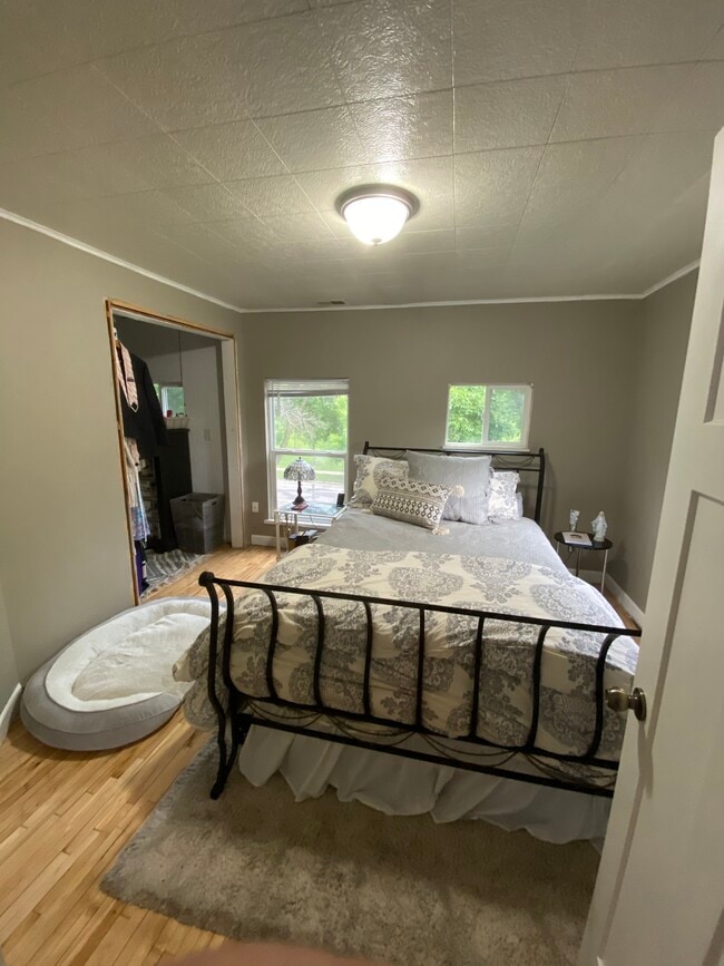 Spacious lower level bedroom with mast closet - 1346 W Minnehaha Ave
