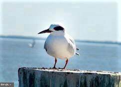 Building Photo - 82 Fountain St