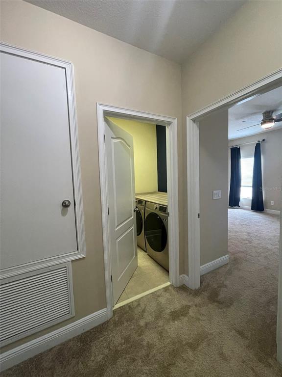 Building Photo - 439 Ellis Square Ct