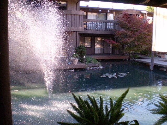 Building Photo - Stunning Timberlake Lodge Condo in Quiet Arden-Arcade Community!