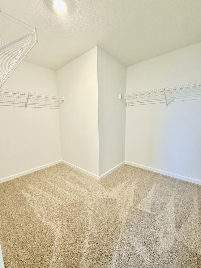 Building Photo - 586 Salisbury Cir