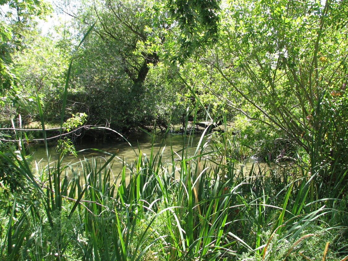 Creek Bend Boise