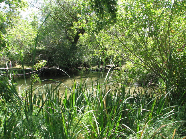 Building Photo - Creek Bend