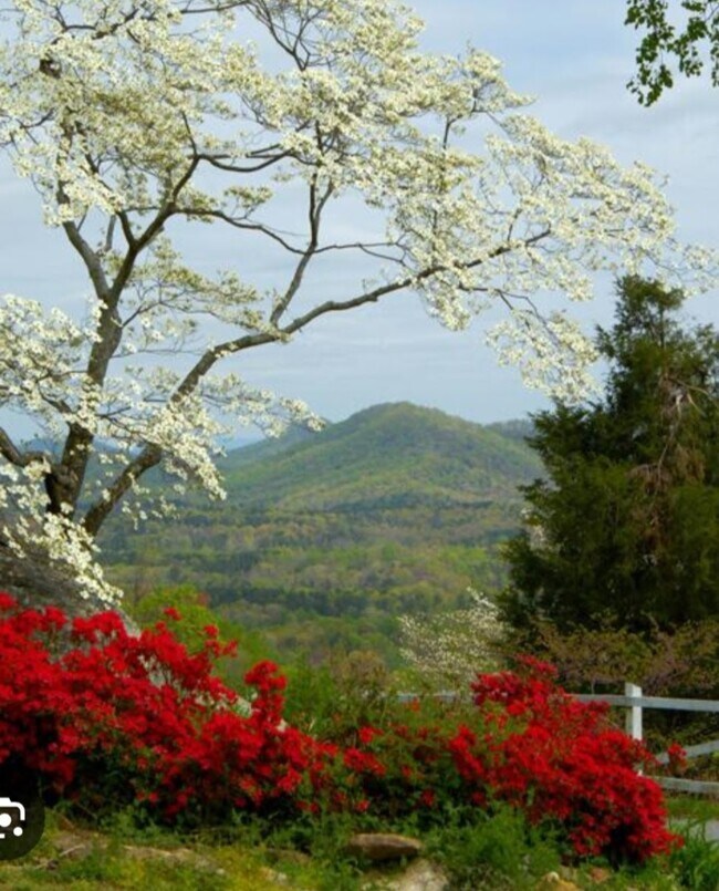 Building Photo - 303 Sugar Top Dr