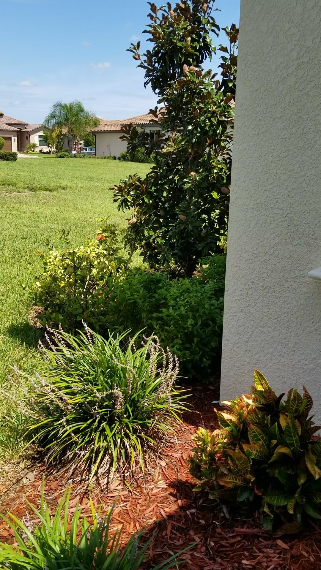 Maintenance Free landscape - 12604 Garibaldi Ln