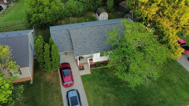 Building Photo - 905 Preston Ct