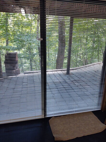 Outside patio - 297 Knoll Dr