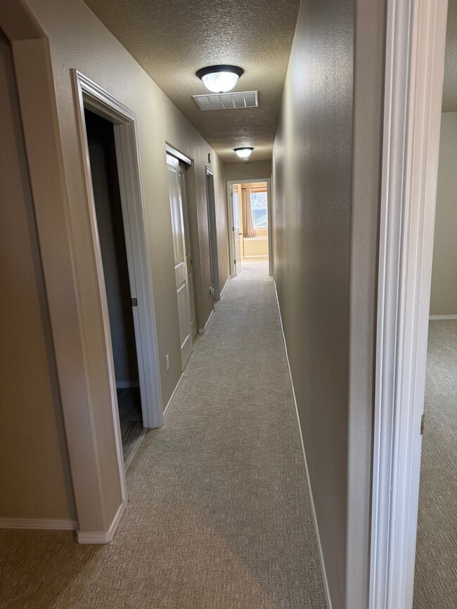 Building Photo - 20565 Sun Meadow Way