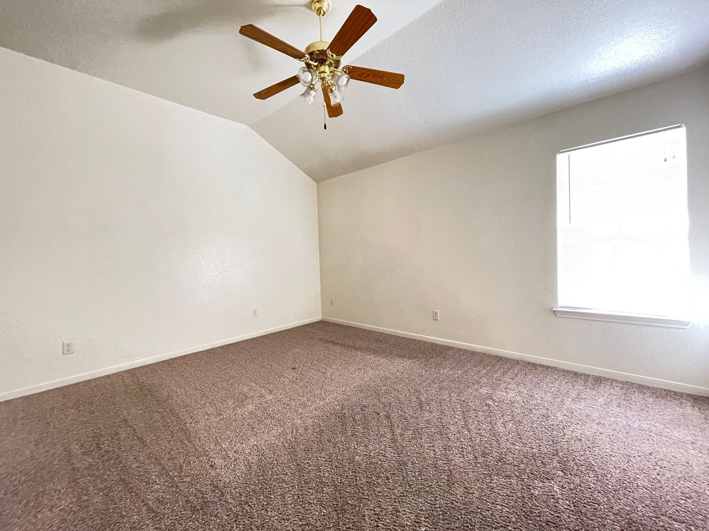 Building Photo - 4800 John David Dr