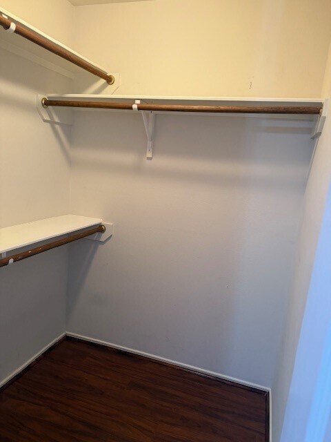 Building Photo - 11014 Redhaven Ct