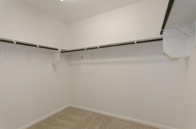 Building Photo - 905 Olive Creek Dr
