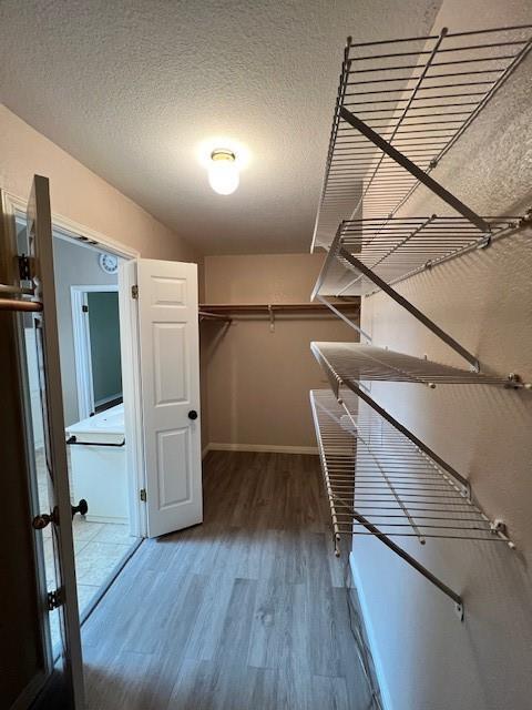 Building Photo - 1239 Rocky Creek Dr