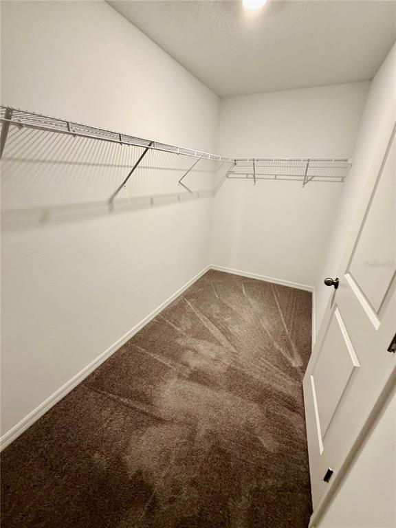 Building Photo - 14402 Touch Gold Ln