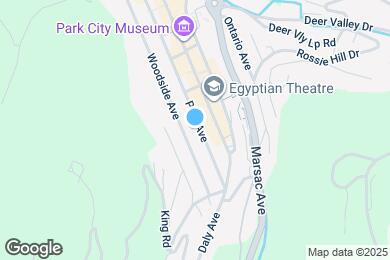 Map image of the property - 263 Park Ave