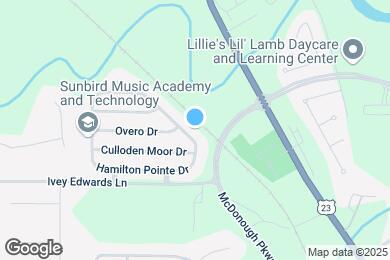 Map image of the property - 319 Hamilton Pointe Dr