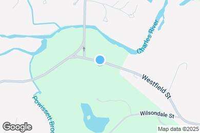 Map image of the property - 333 Dedham St