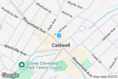 Map image of the property - 319 Bloomfield Ave