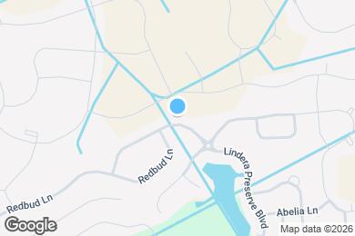 Map image of the property - 196 Lindera Preserve Blvd