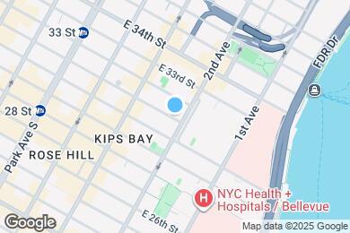 Map image of the property - 251 E 31st St