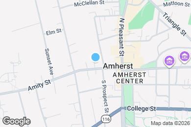 Map image of the property - 111 Amity St