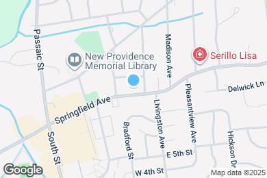 Map image of the property - 1171 Springfield Ave