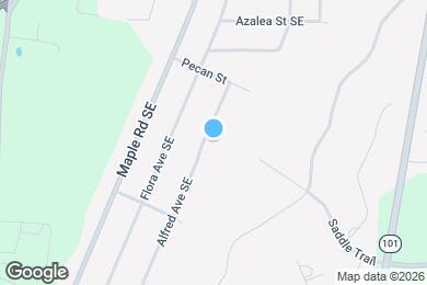 Map image of the property - 217 Alfred Ave SE