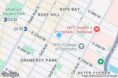Map image of the property - 245 E 24th St