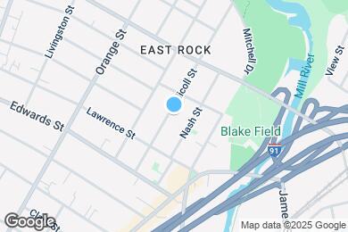 Map image of the property - 117 Nicoll St