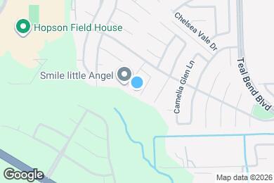 Map image of the property - 2207 Steep Pine Trl