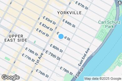 Map image of the property - 421 E 81st St