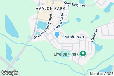 Map image of the property - 13033 Royal Fern Dr