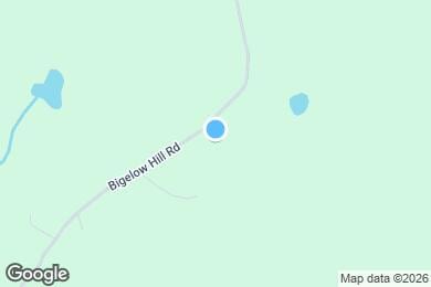Map image of the property - 217 Bigelow Hill Rd