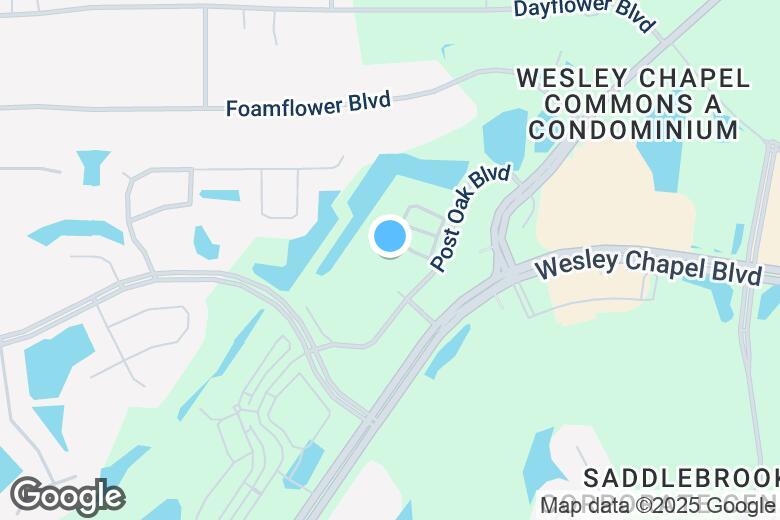 29-wesley-chapel-florida-map-maps-online-for-you