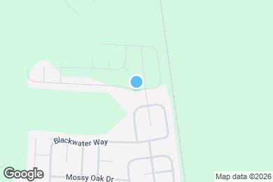 Map image of the property - 111 Western Red Cedar Dr