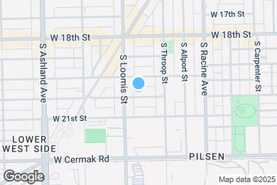 Map image of the property - 1338 W Cullerton St