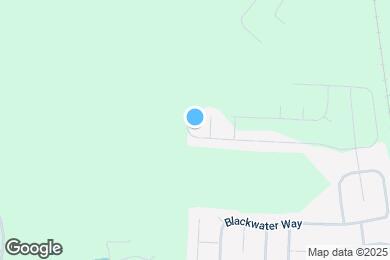 Map image of the property - 242 Western Red Cedar Dr
