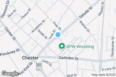 Map image of the property - 113 Saluda St