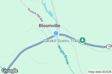 Map image of the property - 51946 NY-10