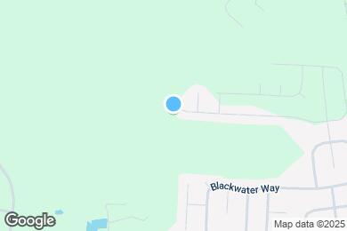 Map image of the property - 247 Western Red Cedar Dr
