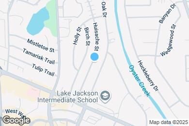Map image of the property - 134 Huisache St