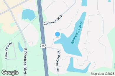 Map image of the property - 132 Timber Ridge Dr