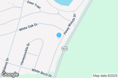 Map image of the property - 161 Piney Woods Dr